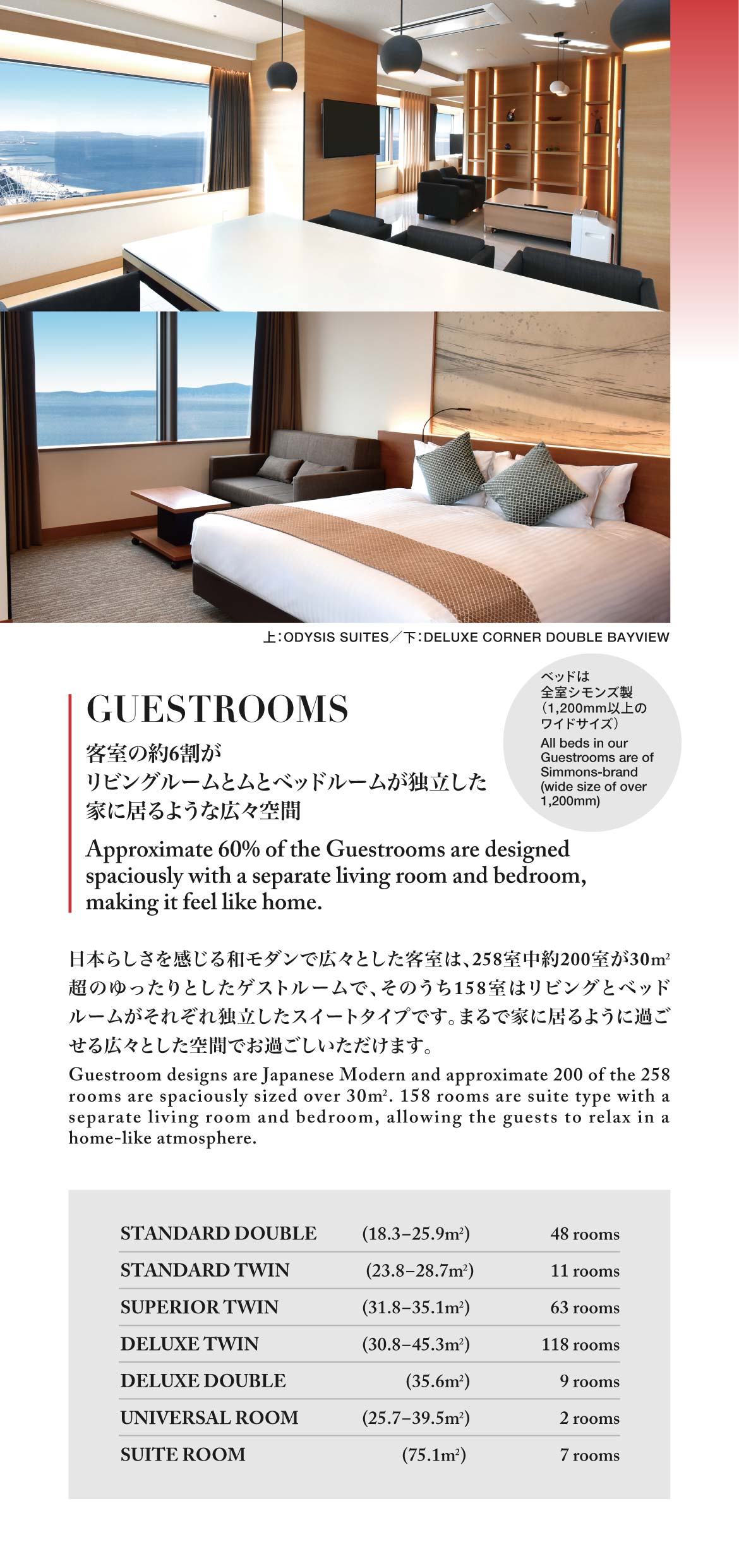 Odysis Brochure 1 odysis-brochure-1